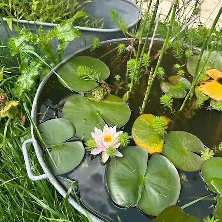Feriehus Jolie - La Ferme De Montigny, Orne Neauphe-Sur-Dive
