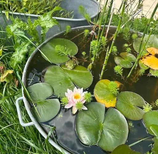 Hébergement de vacances Jolie - La Ferme De Montigny, Orne Neauphe-Sur-Dive